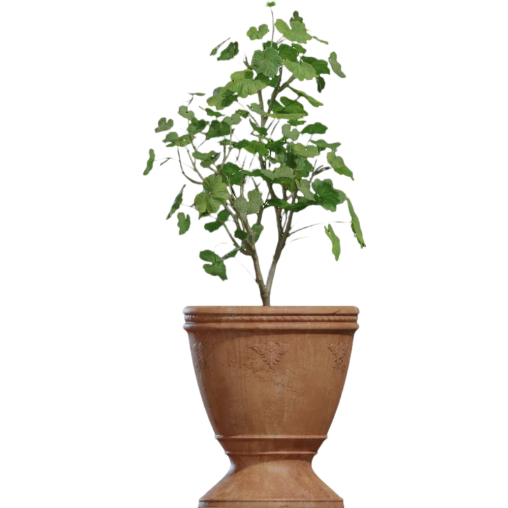 Potted plant sketch decorative plant 3D model