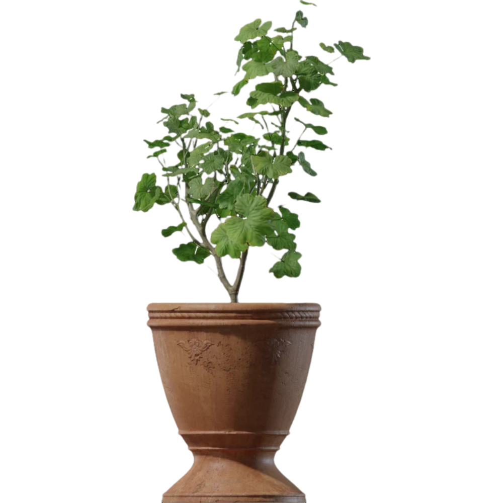 Potted plant sketch decorative plant 3D model