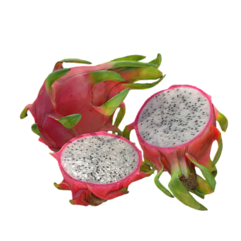 Cut white core dragon fruit 3D model