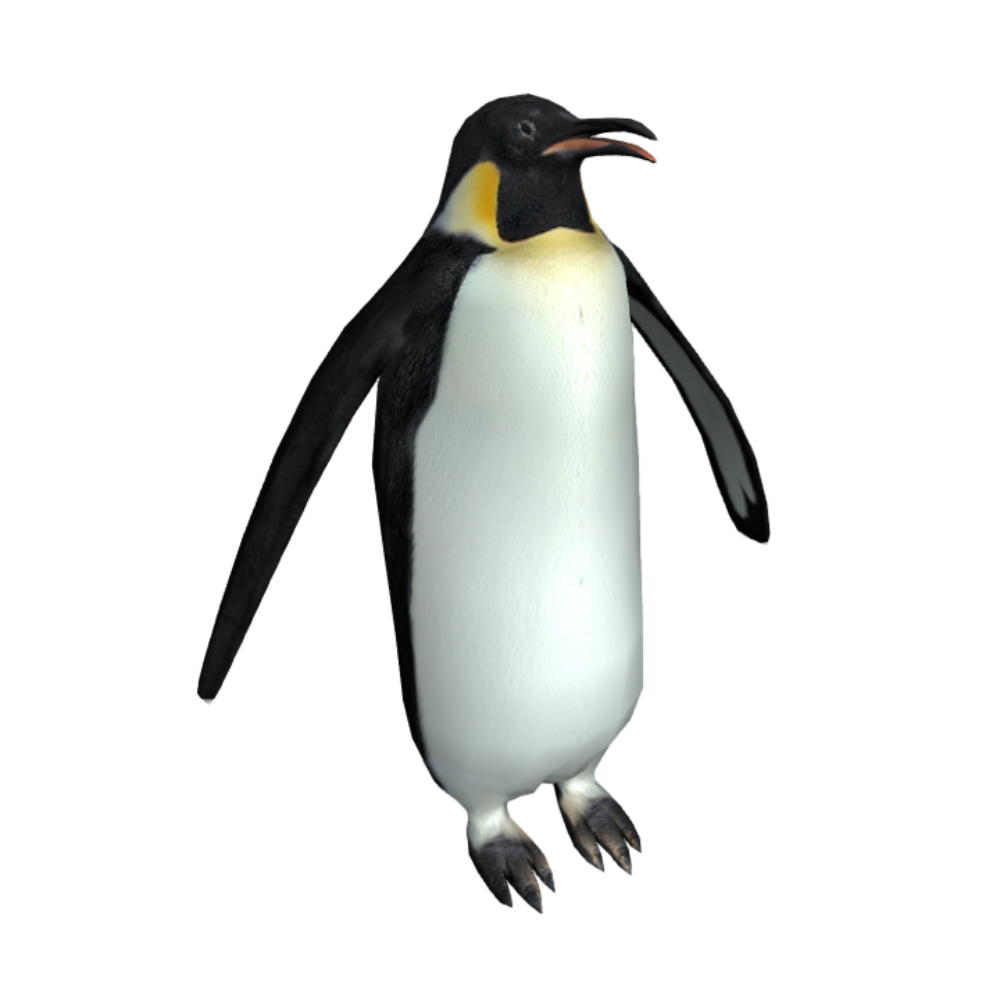 Antarctic realistic penguin AR animation 3D model