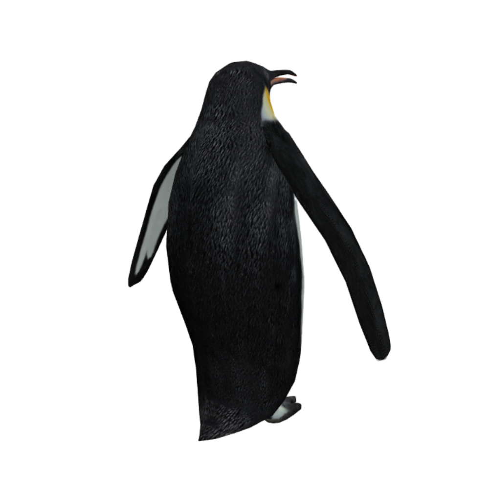 Antarctic realistic penguin AR animation 3D model