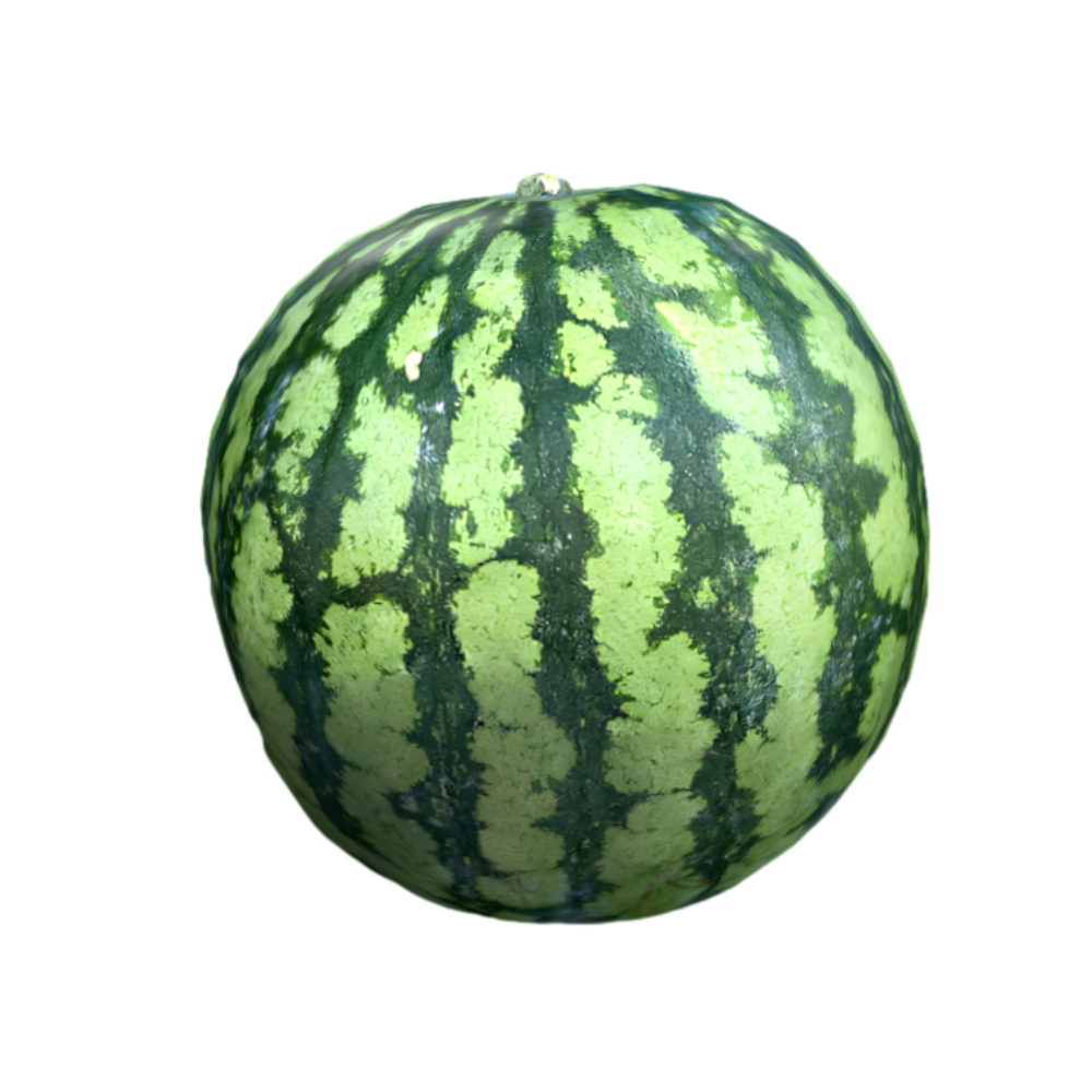 Realistic watermelon 3D model for a cool summer