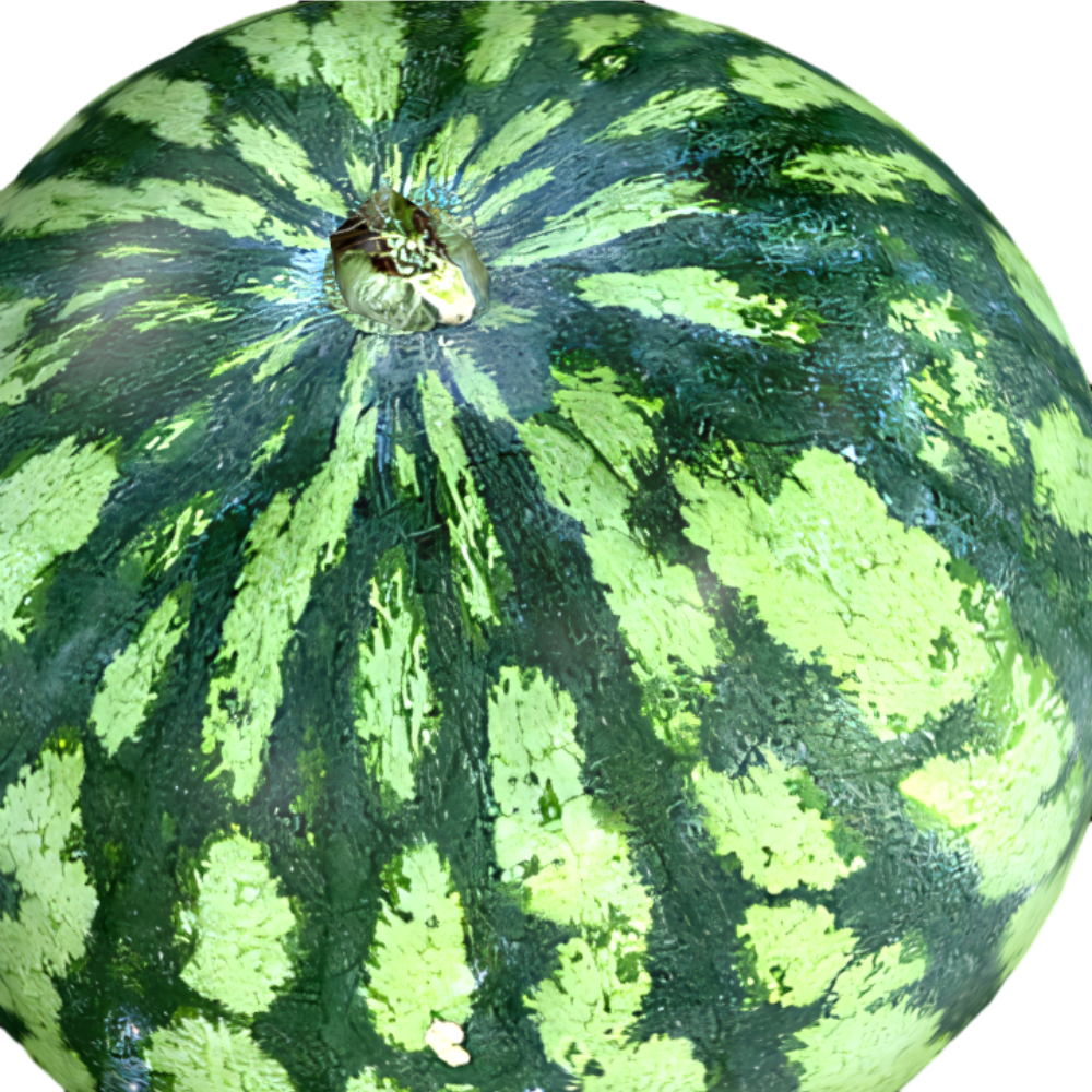 Realistic watermelon 3D model for a cool summer