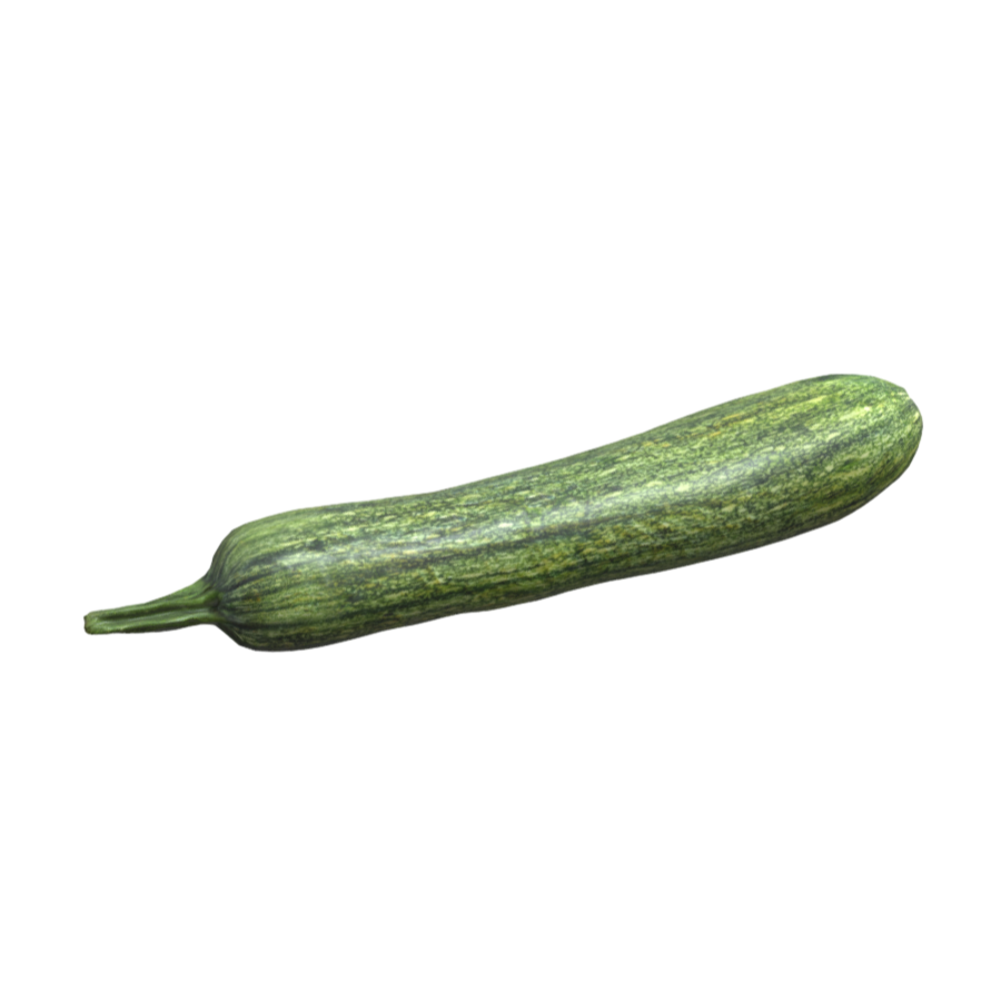 Italian long pumpkin 3D fruit and vegetable model