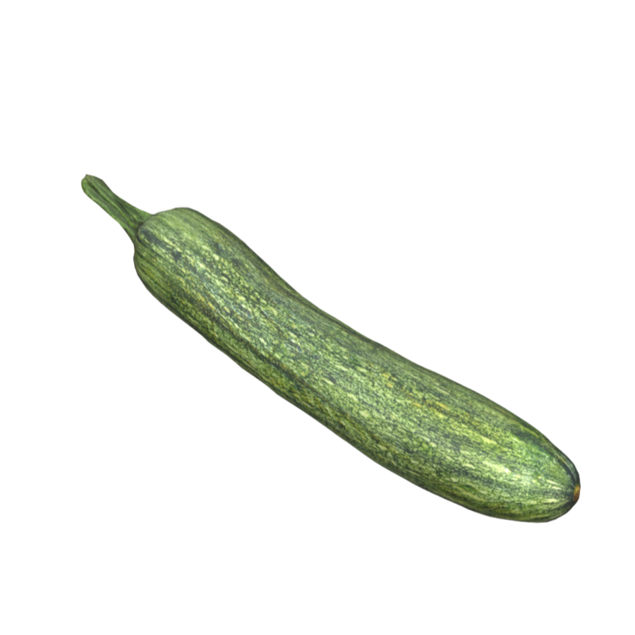 Italian long pumpkin 3D fruit and vegetable model