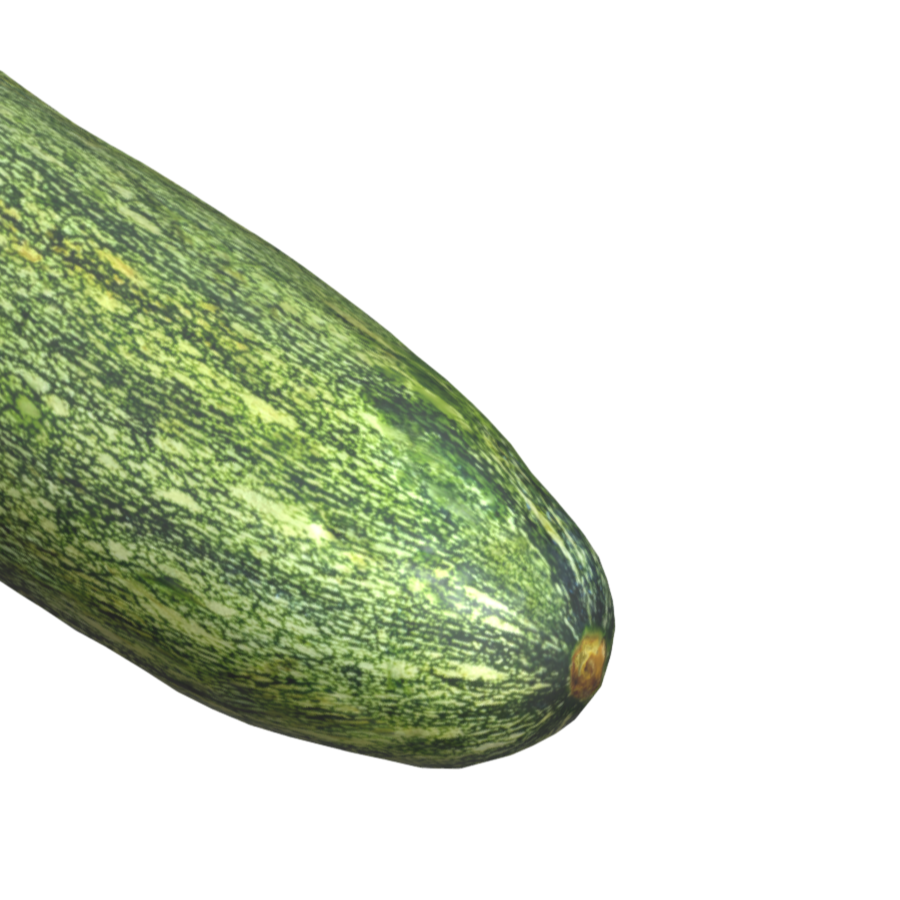 Italian long pumpkin 3D fruit and vegetable model