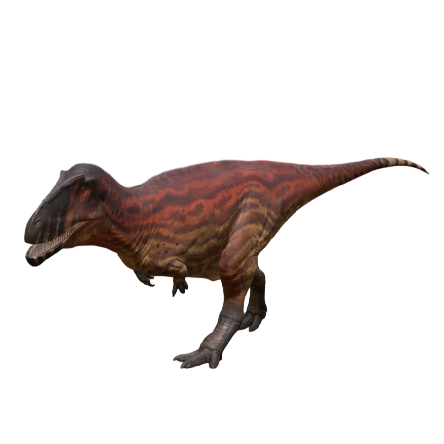 Meraxes Gigas Jurassic Dinosaur 3D Model