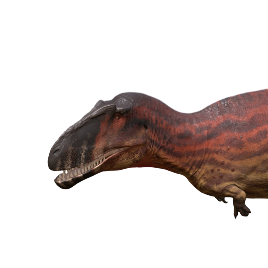 Meraxes Gigas Jurassic Dinosaur 3D Model