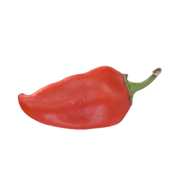 Fresh Fruits and Vegetables Vegetable Pepper 3D Model