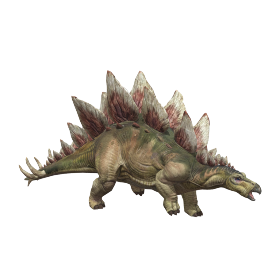 Jurassic Realistic Dinosaur Stegosaurus 3D Model