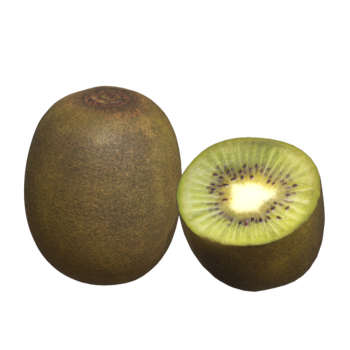 Realistic food fruit kiwi fruit 3D model