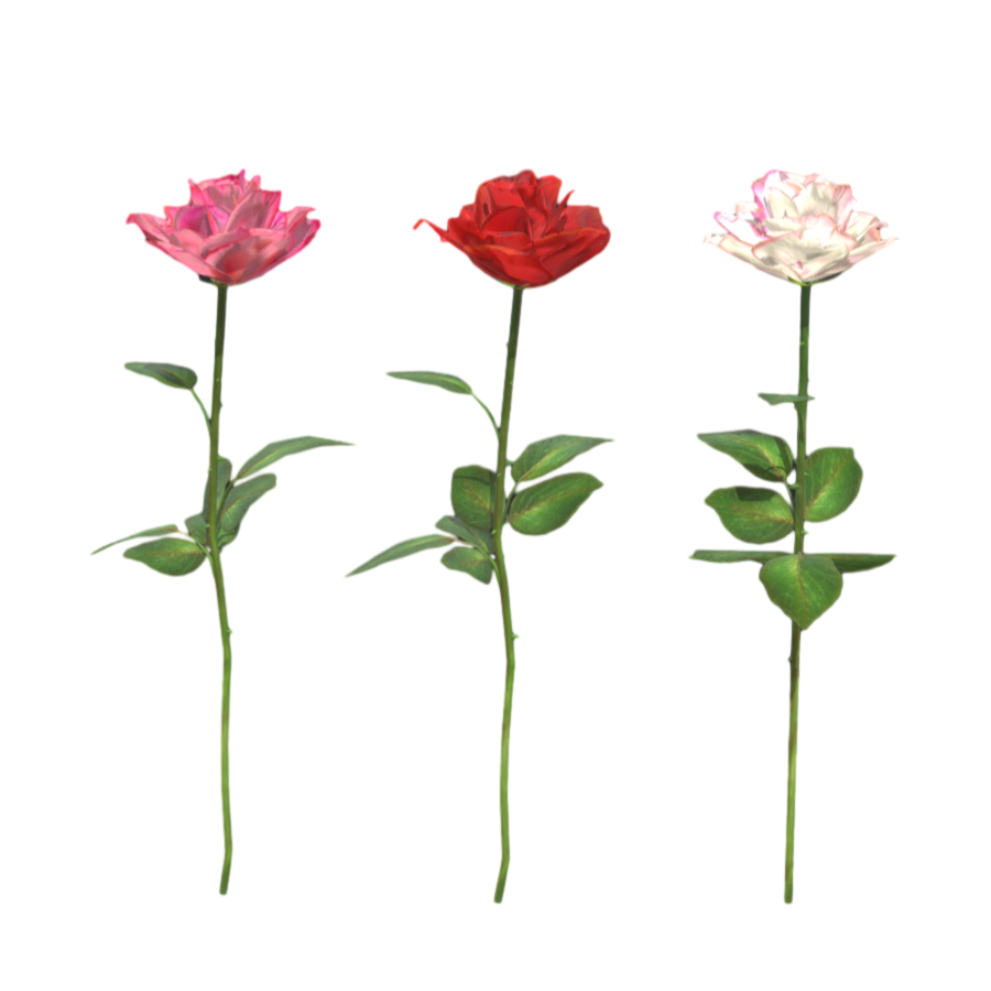 3 different colors of roses 3D model