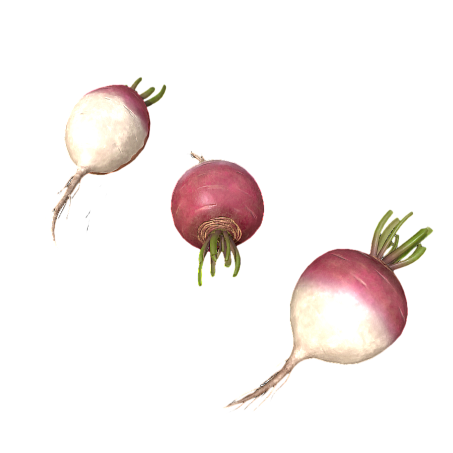 Three Carrots 3D Model