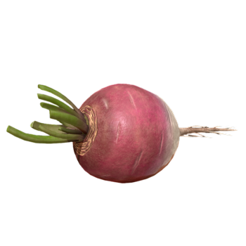 Three Carrots 3D Model