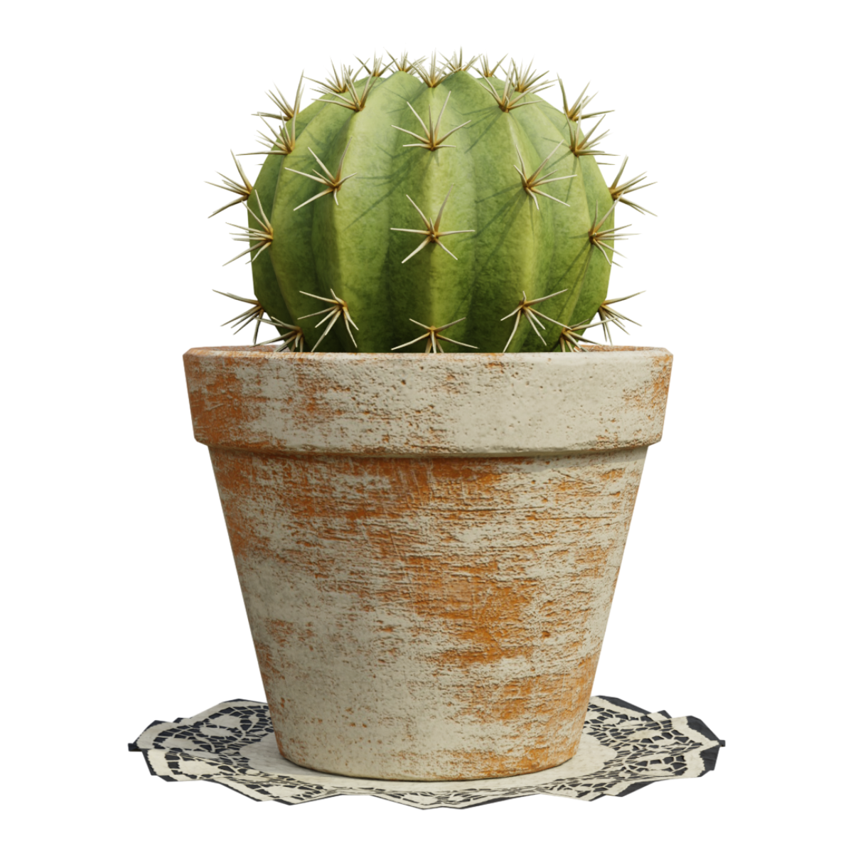 Succulent Cactus Flower Plants Cactus Indoor Potted Plants