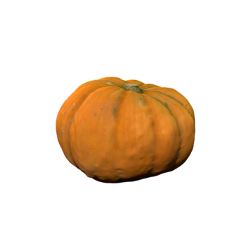 Realistic Pumpkin 3D Model