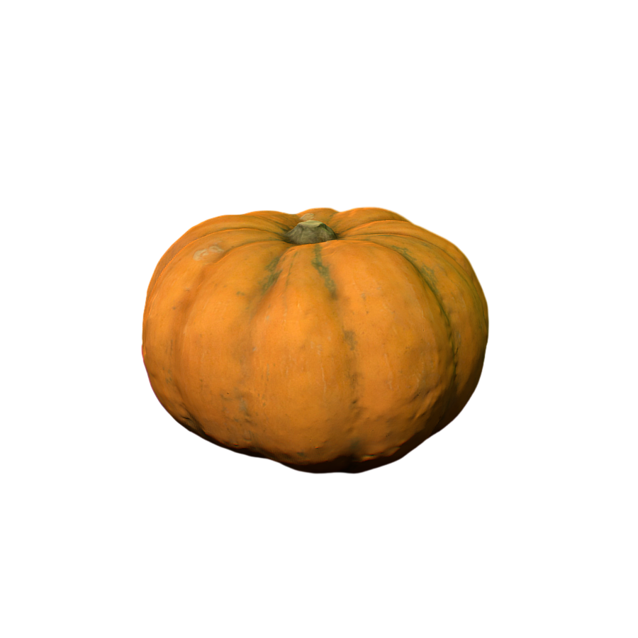 Realistic Pumpkin 3D Model