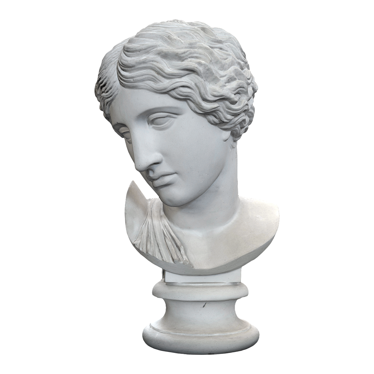 Injured Amazon Head Statue