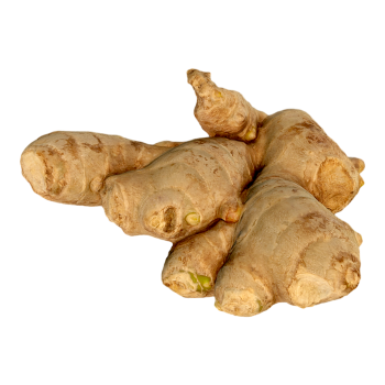 Ginger