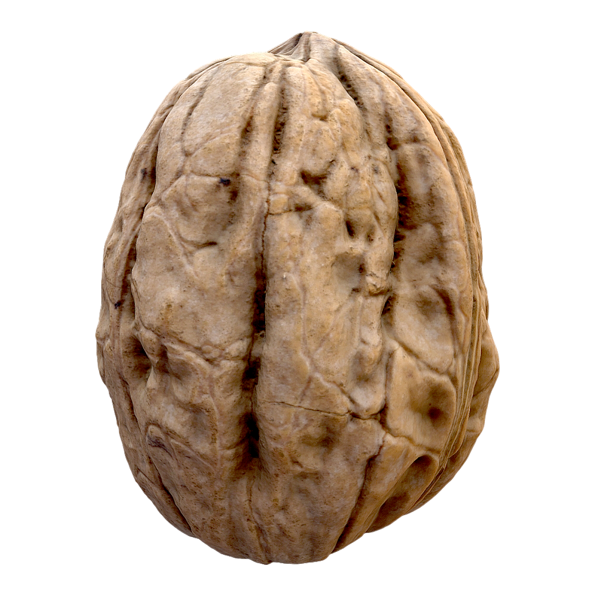 walnut (walnut)