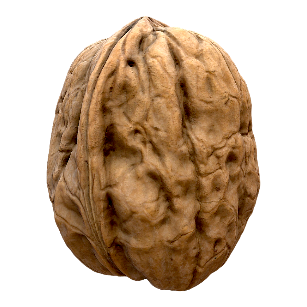 walnut (walnut)