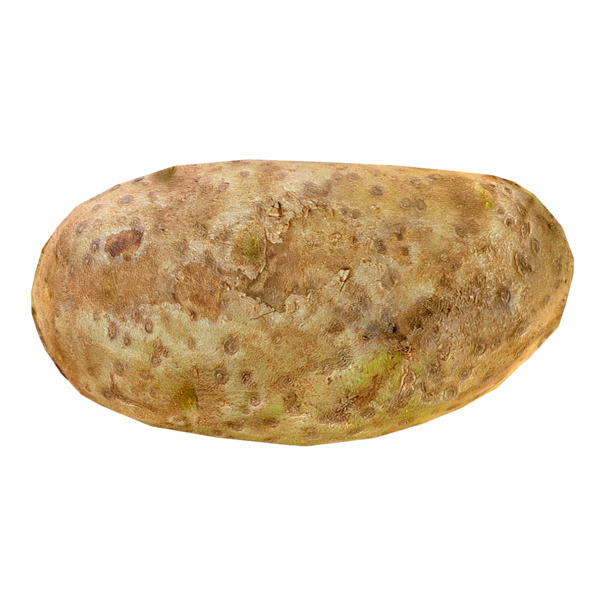 Potato (potato)