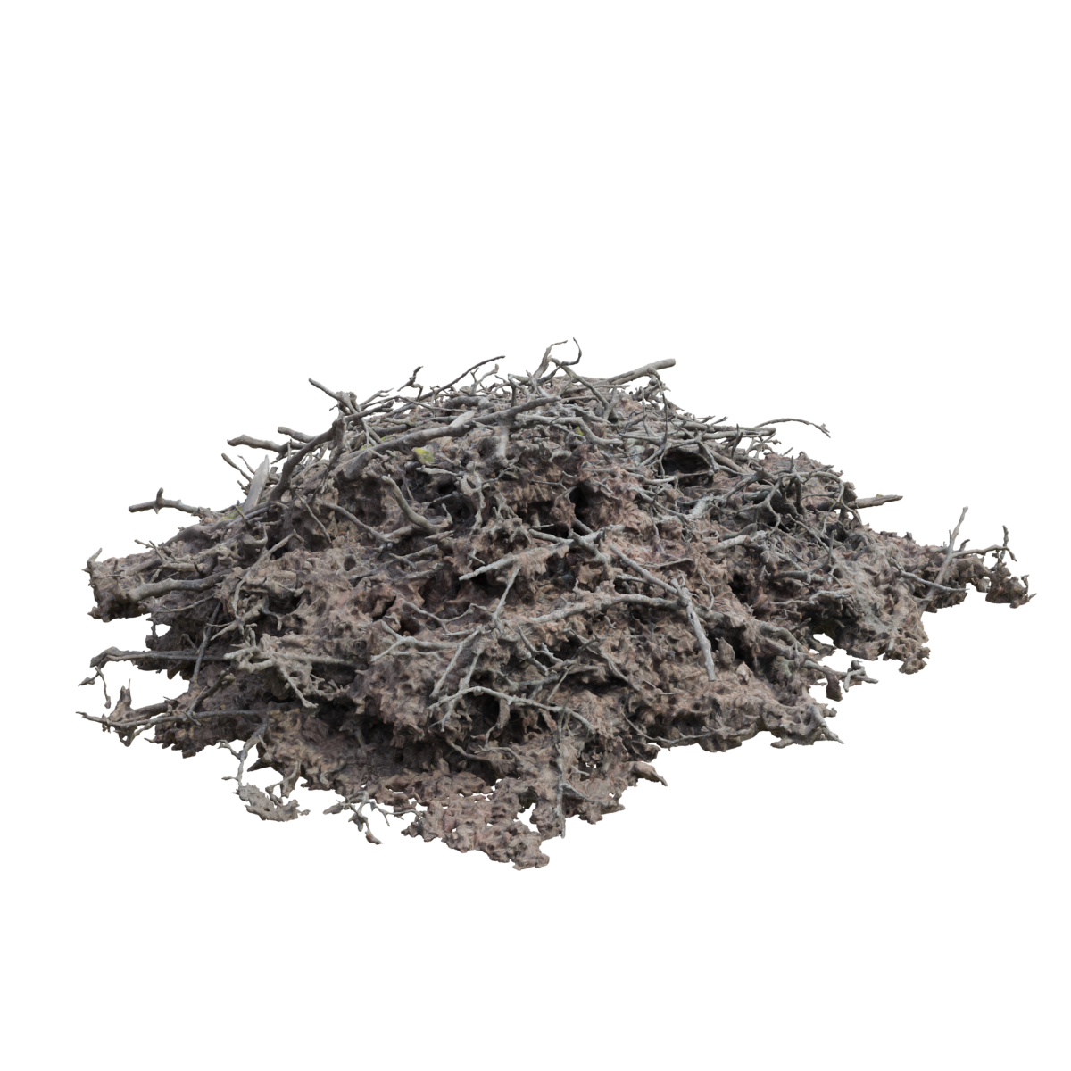 Natural dead branches, old trees, branches, piles of dead branches