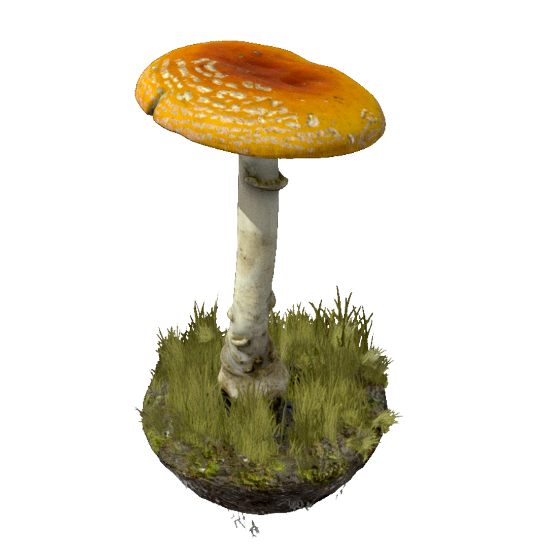 3D Scanning Mushrooms