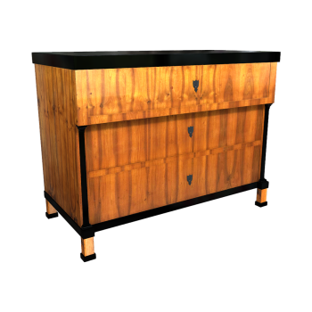 Nineteenth Century Ebony German Locker