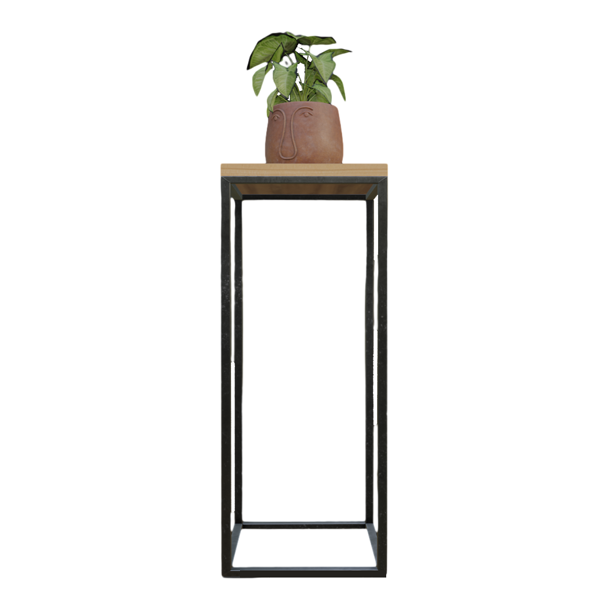 Evergreen green indoor potted plant with high-legged flower stand