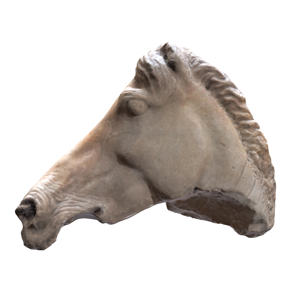 Marble sculpture of horse head from ancient Greek classical period