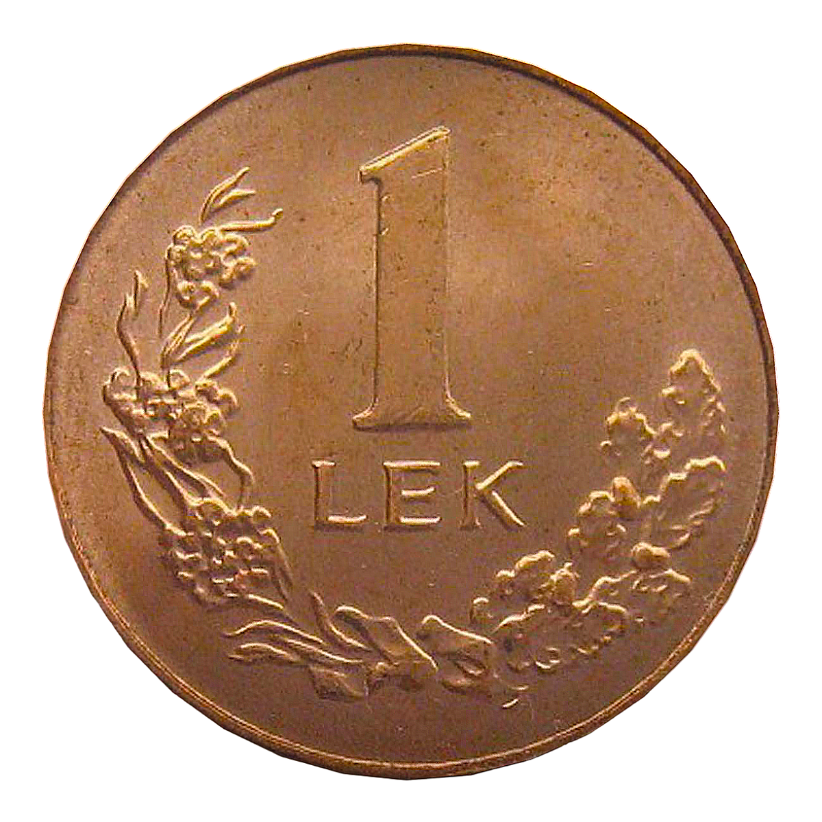 Albanian Lek currency - one Lek coin