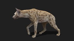 White Horse (3D animated model)