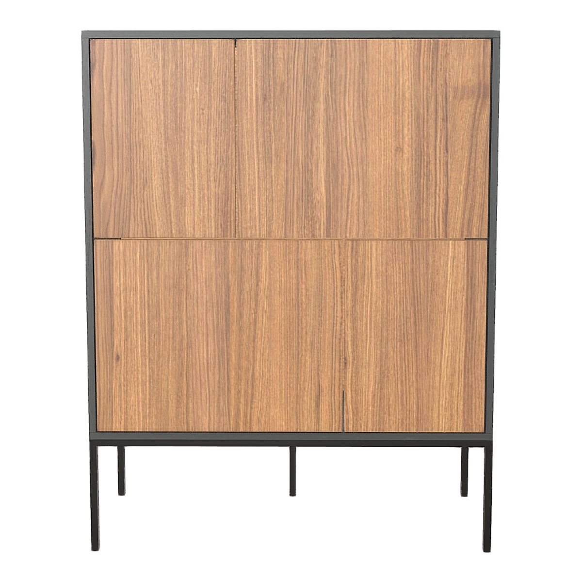 Nordic Minimalist Metal Solid Wood Cabinet