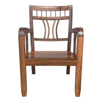Chinese Dark Elm Solid Wood Armchair Backrest Chair Leisure Chair