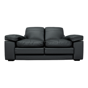 Italian Light Luxury Metal Sofa Feet Pure Black Leather Double Backrest Armrest Sofa