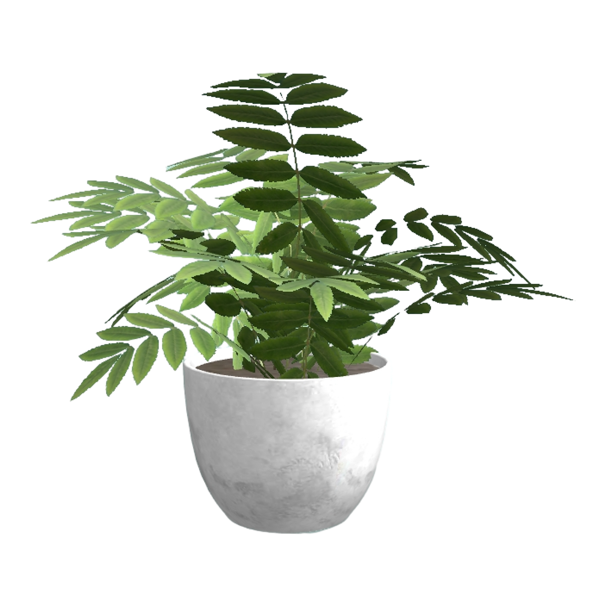 Indoor and outdoor white ceramic flower pot domestic green plant