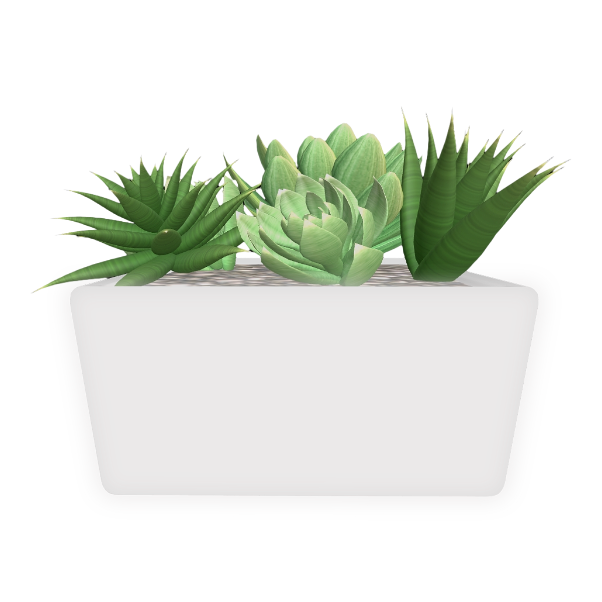 Modern Balcony Desktop Domestic Fleshy Green Plant White Ceramic Potted Plant